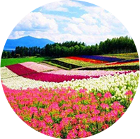 誠(chéng)信為本